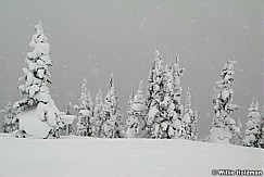 winter020808 IMG 06897