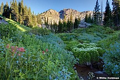 Albionbasin072310