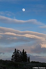 Pines Sunset 062113 671