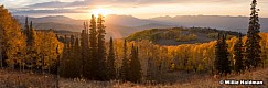 Warm Aspens Last Glow 100421 9392