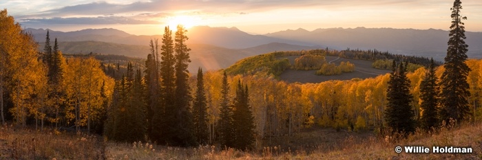 Warm Aspens Last Glow 100421 9392