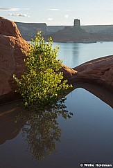 Powell Cottonwood Waterhole 061115 2