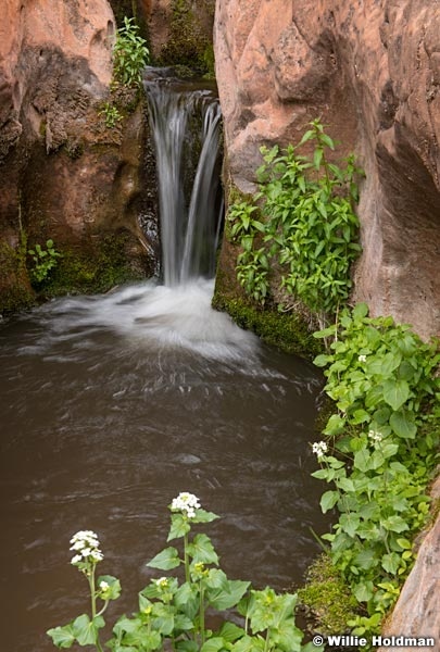 Thousand Lake Waterfall Merge 1181