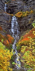 bridalveilfalls20x40small