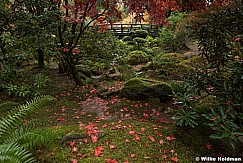 Japanese Garden 102716 7352