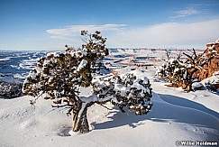 Canyonlands Winter 020216 1922