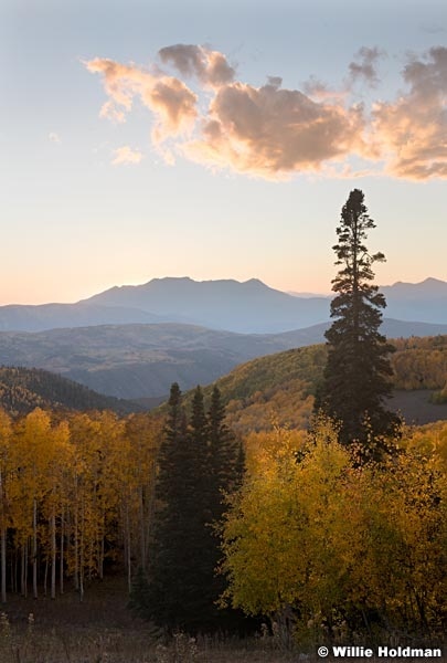 Sunset Over Pine 100221 8595