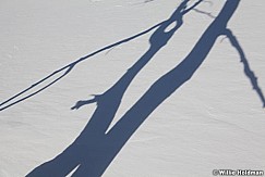 Singlewinterpine112410 29