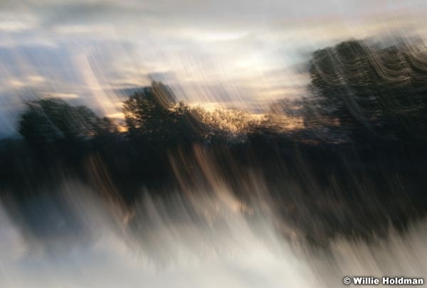 abstractmarsh 0179