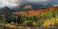 Timpanogos Autumn Color 092210