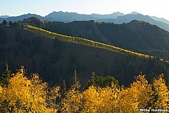 Aspensridges092708 9045