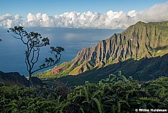 Kokee Na Pali Kauai 101821 7334