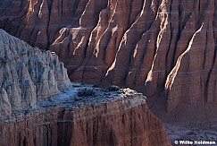 Cathedral Valley Reef 050226 6237