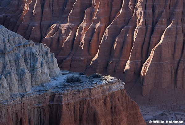 Cathedral Valley Reef 050226 6237