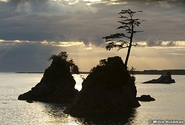 062507oceanoregon740