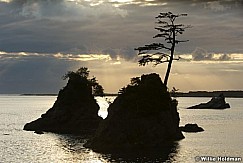 062507oceanoregon740