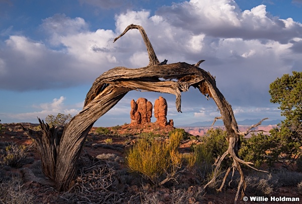 Framed HooDoos 052718 7137