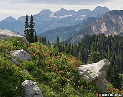 Timplonepeak080609