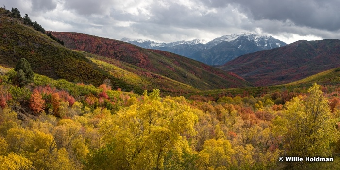 Cascade Springs Autumn 100117 6942