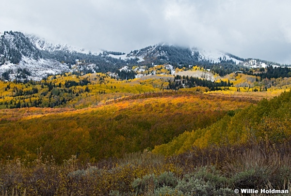 Bonanaza Flats Snow Color 100423 9050 2
