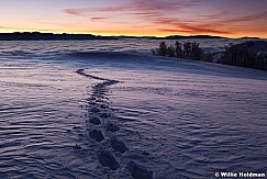 snowshoetracksclouds122410 7
