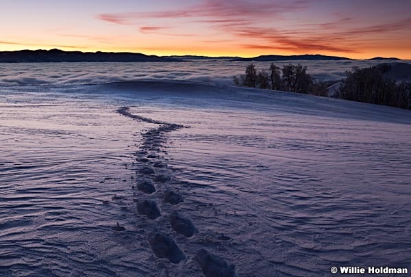 snowshoetracksclouds122410 7