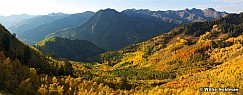 Millbasinaspenautumn100308