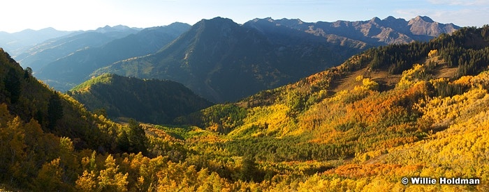 Millbasinaspenautumn100308