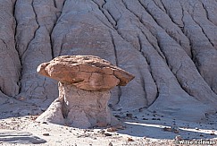 Blanced Rock Canyonlands 110120 0155