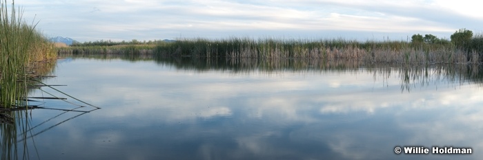 Utahlakemarsh050210