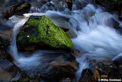 Green Rock Stream 101211 241