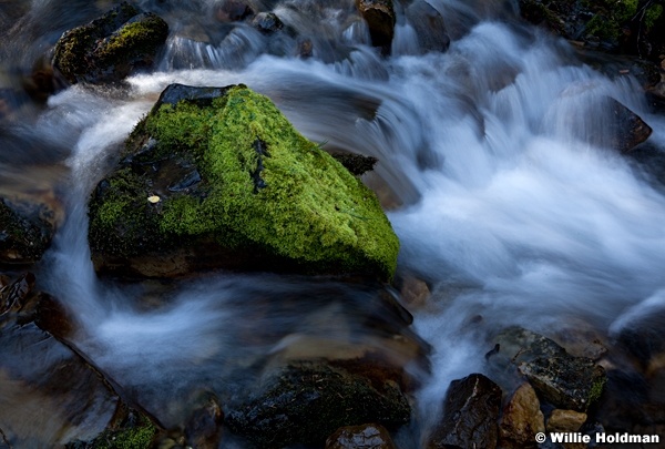 Green Rock Stream 101211 241