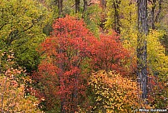 Hobblecreek010107 1050
