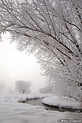 wintersfrost011409 10944
