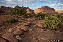 Capitol Reef Last Light 060923 2382