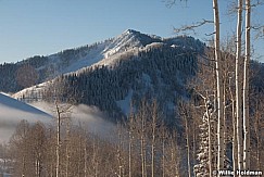 polelinepass012810 0390