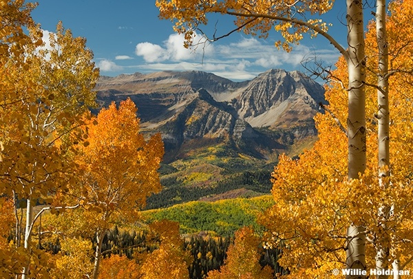 Orange Aspens Framing Timp 092925 9013 2