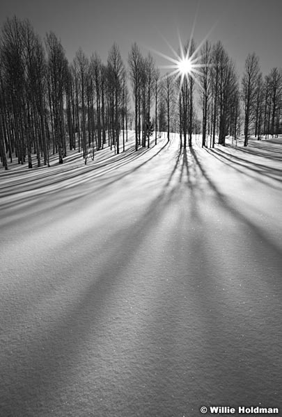 Aspensunmeadow012011 894BW