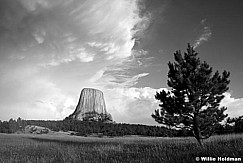 DevilstowerBW071409 2289