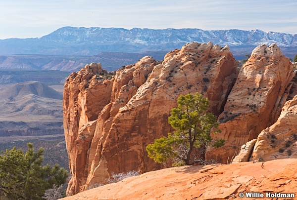 Kinesava Mountain Zion 021516 3838