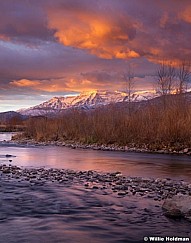 Timpprovoriver111711 2884
