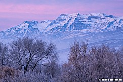 Timpanogos Purple Sunrise 010420 1291