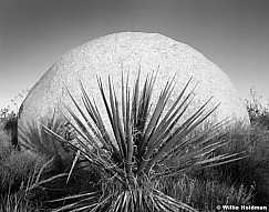 265240000616BW
