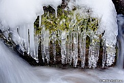 Moss Water Ice 030212 481