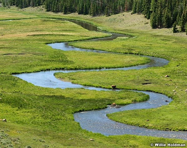 Scurvefishlake
