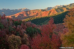 Autumn Colors Snake Creek 092524