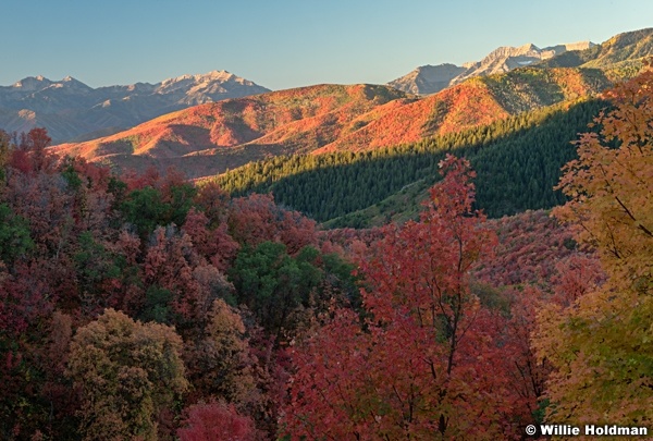 Autumn Colors Snake Creek 092524