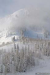 Snake Creek Winter 100409 937