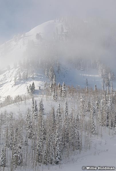 Snake Creek Winter 100409 937