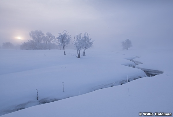 Frozen Creek S curve 021219 7564